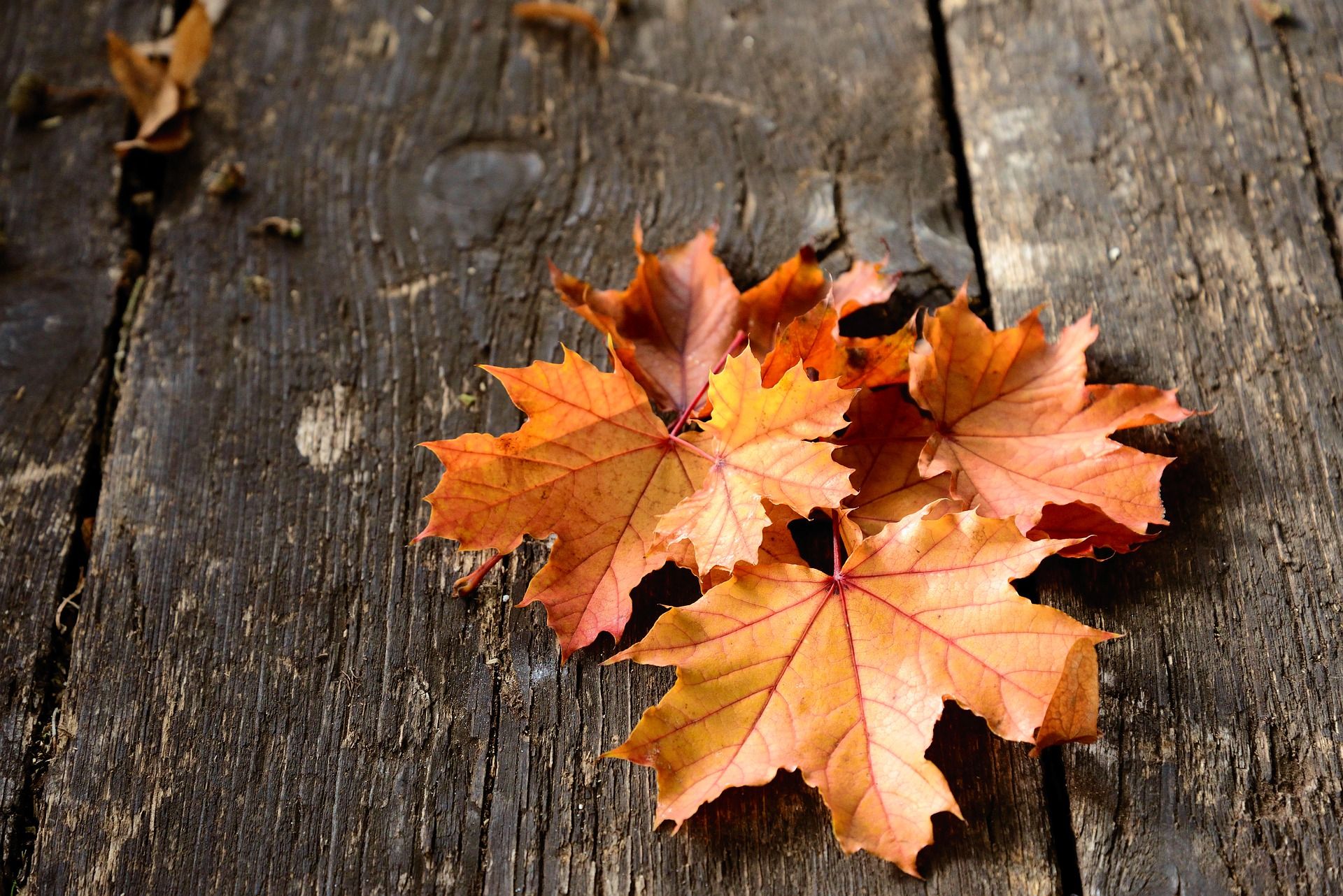 Interfaces, Practically