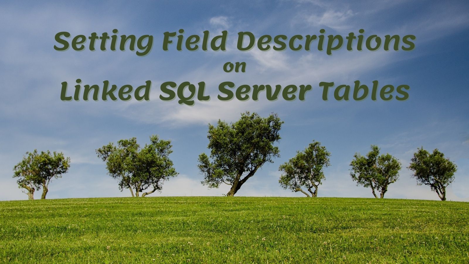 Setting Field Descriptions on Linked SQL Server Tables