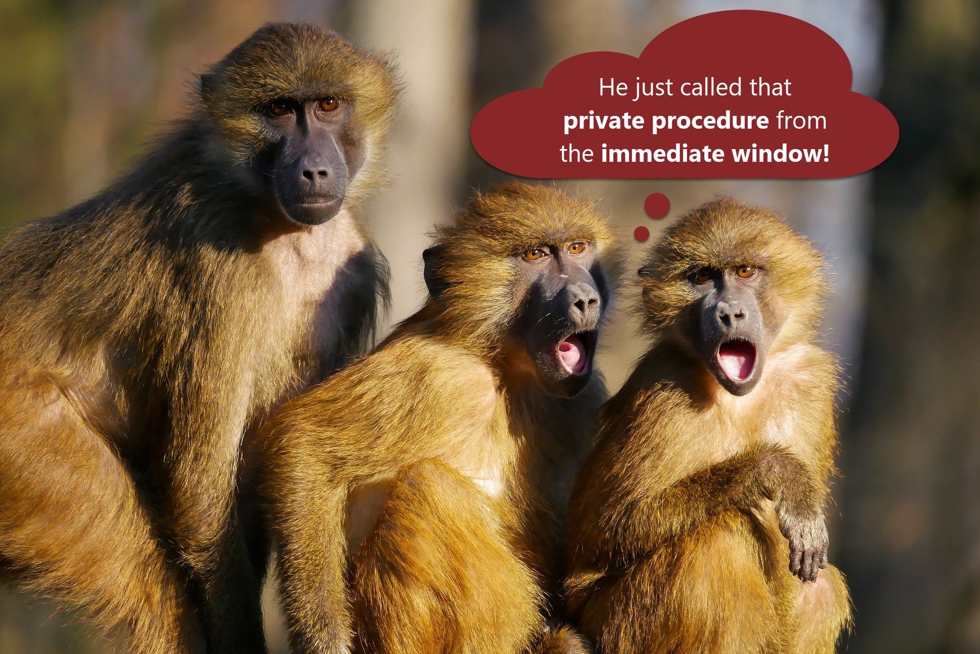 Debugging Private Procedures