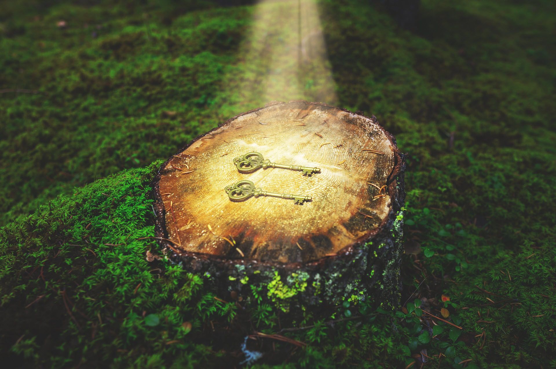 The Two Keys to Building Great Access Applications