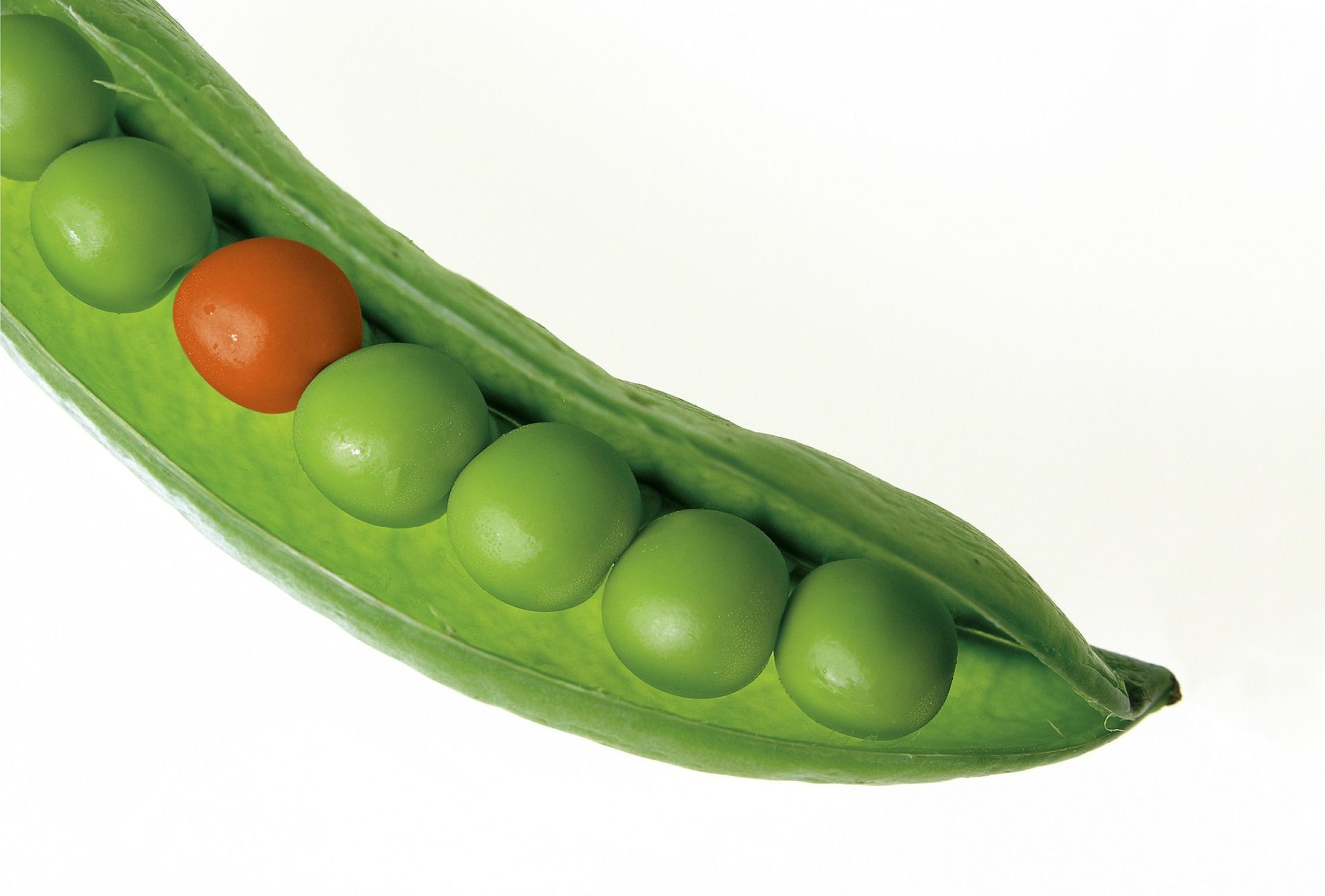 Naming Conventions Matter: Making Wrong Code Look Wrong