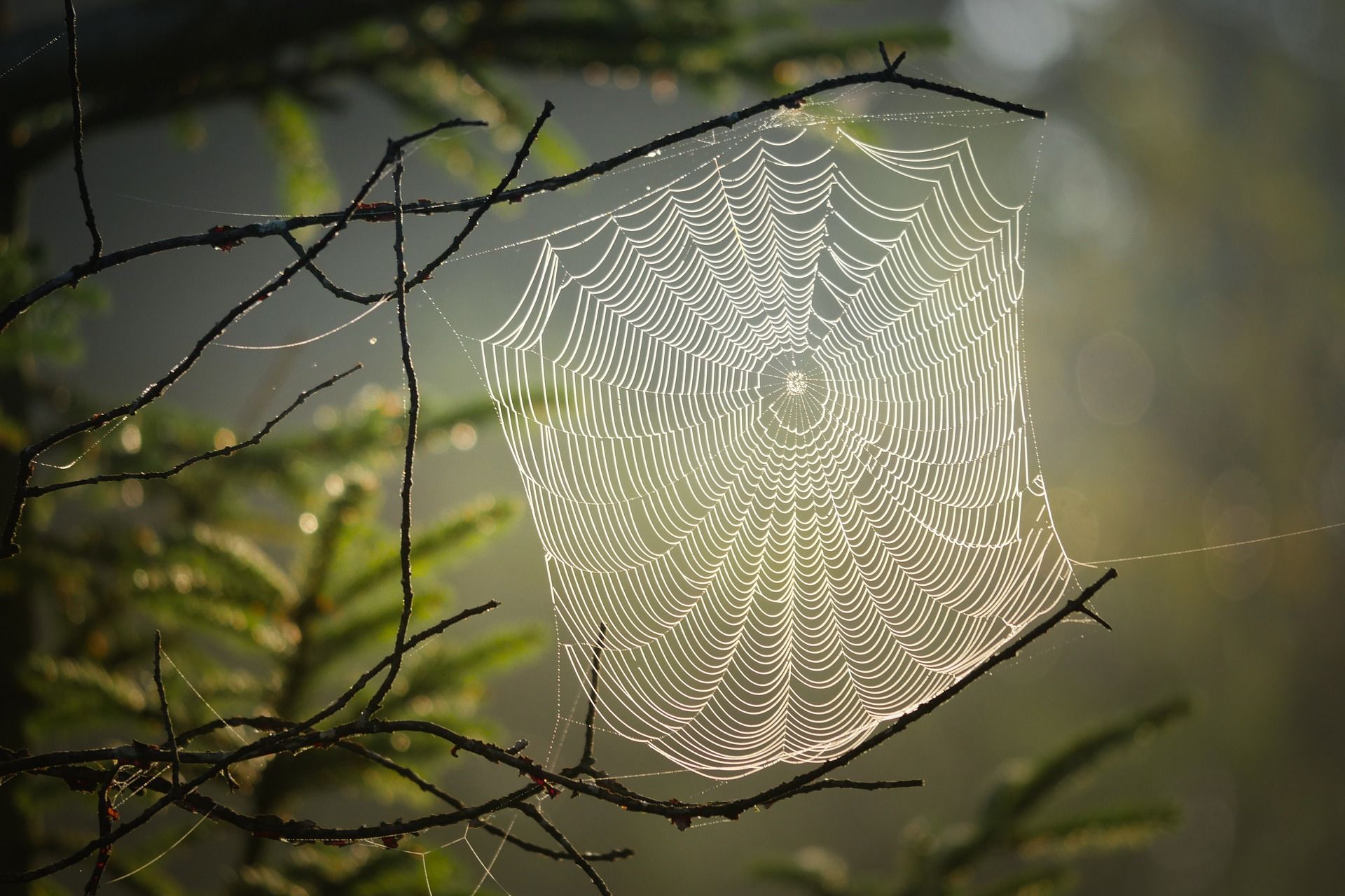 Details about the Mark-of-the-Web (MOTW)