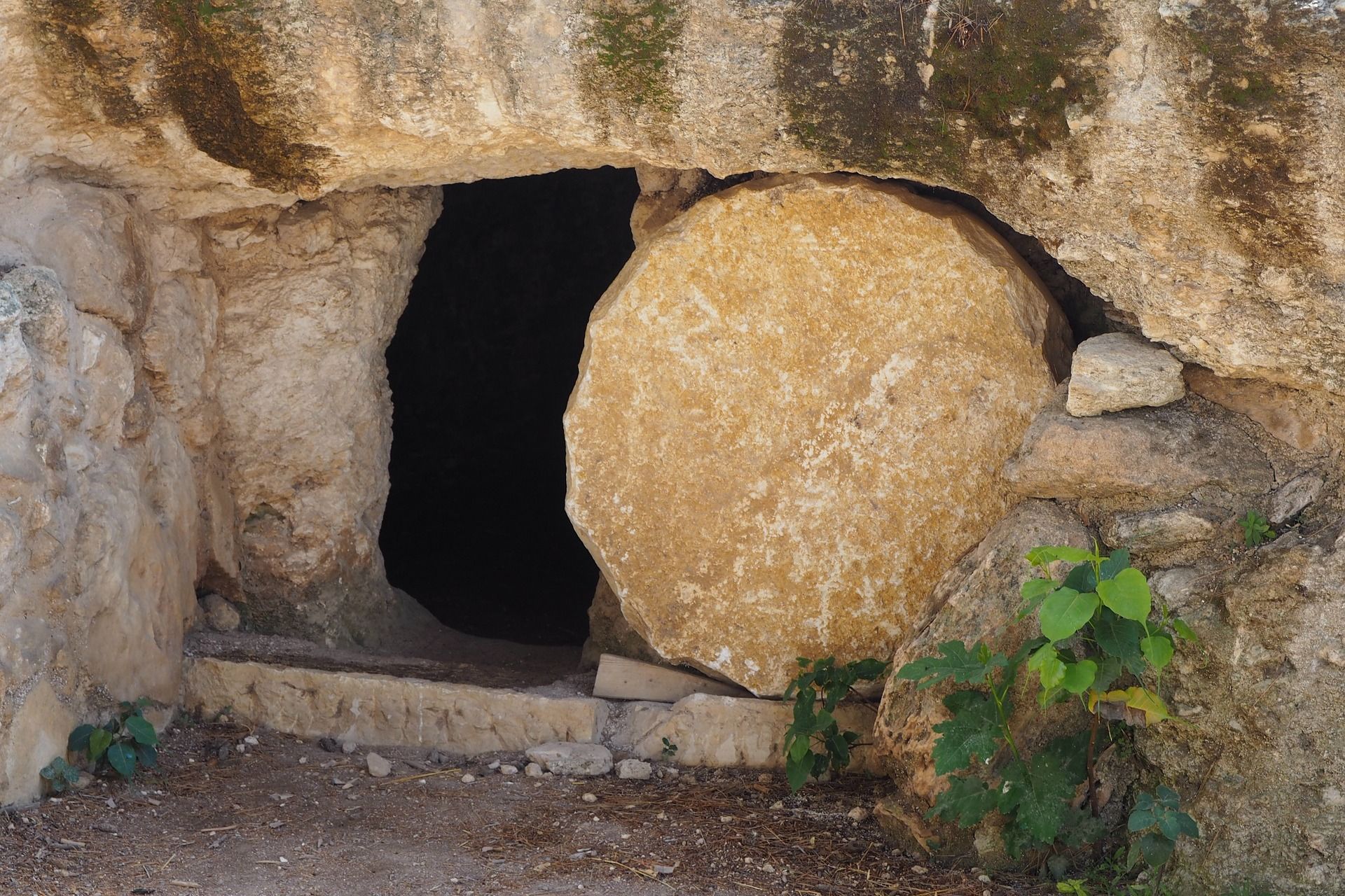 Happy Easter