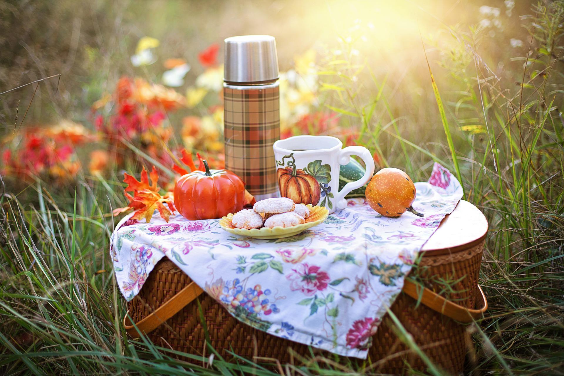 PICNIC: The Underlying Cause of Many Technical Support Calls