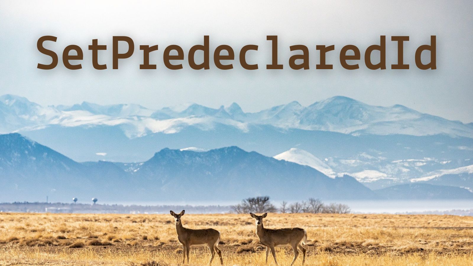 SetPredeclaredId(): Change the Hidden PredeclaredId Attribute of a VBA Class Module